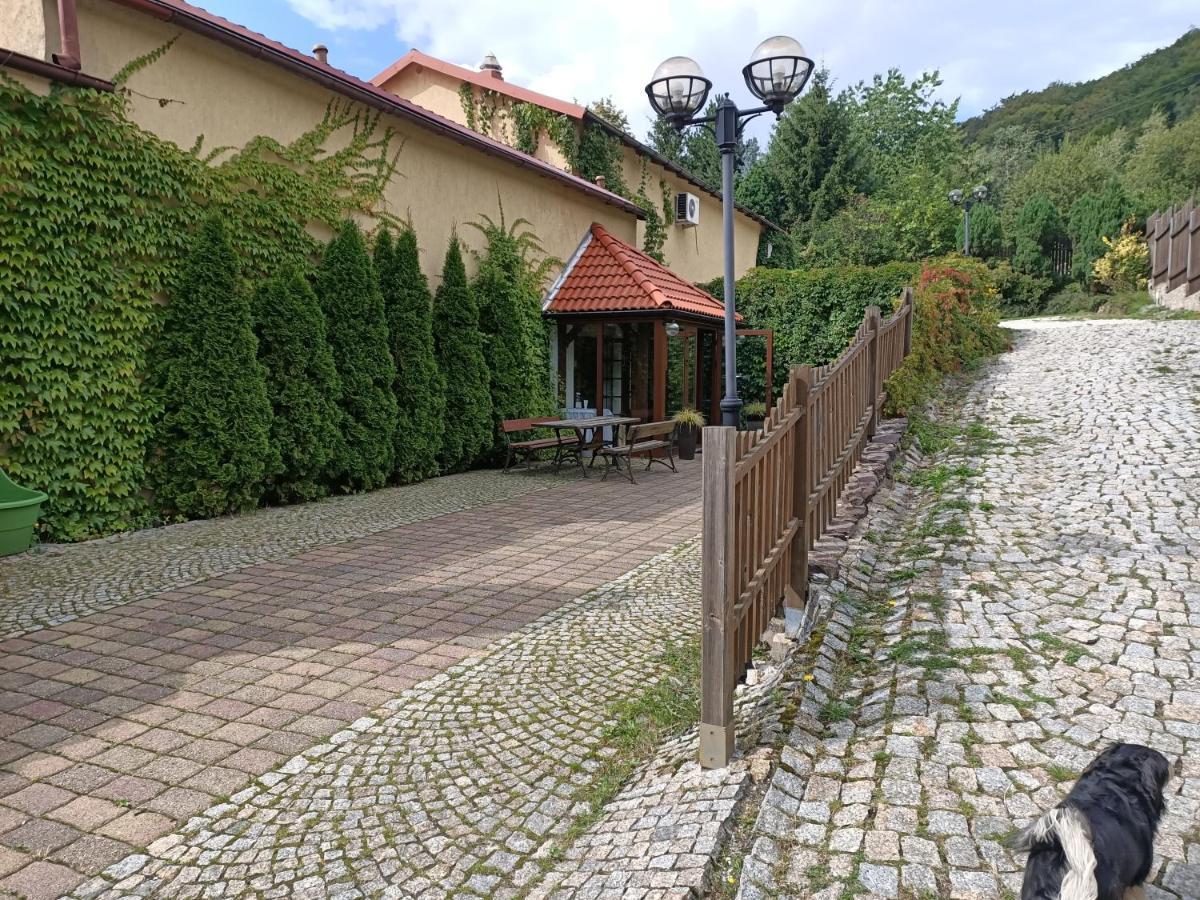 Zielone Wzgorze Hostel Walbrzych Ngoại thất bức ảnh